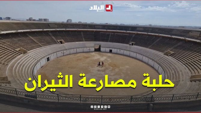 حلبة مصارعة الثيران في وهران..  معلم تاريخي يخفي  حكايات وأسرارًا من الماضي