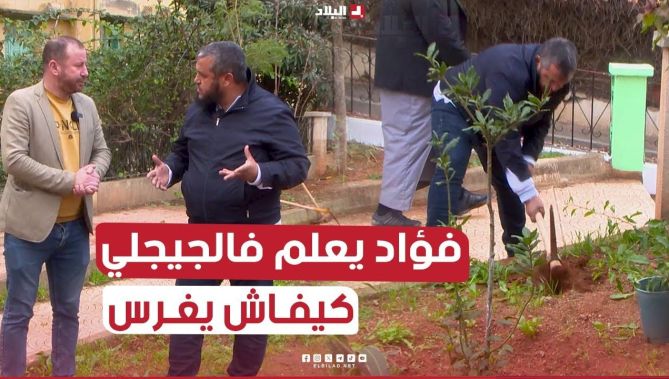 "مانغرسوش الغرس العشوائي.." #فؤاد_الجزائر_الخضراء يعطي #الطريقة الصحيحة عن كيفية #غرس #الأشجار