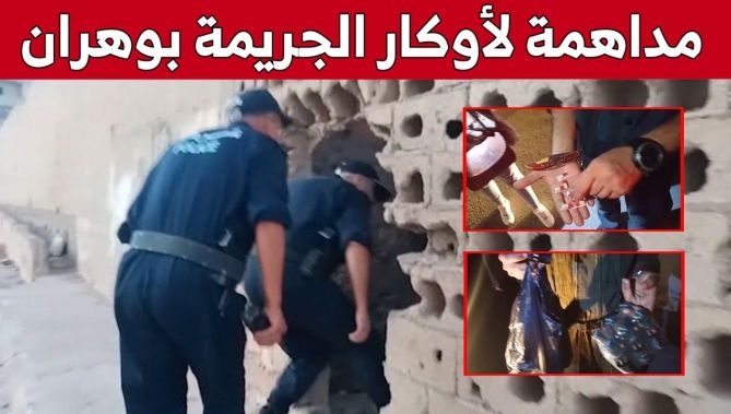 شاهد ما تم حجزه خلال مداهـ..ـمات لأوكار الجــ..ـريمة ضمانا لأمن المصطافين بوهران