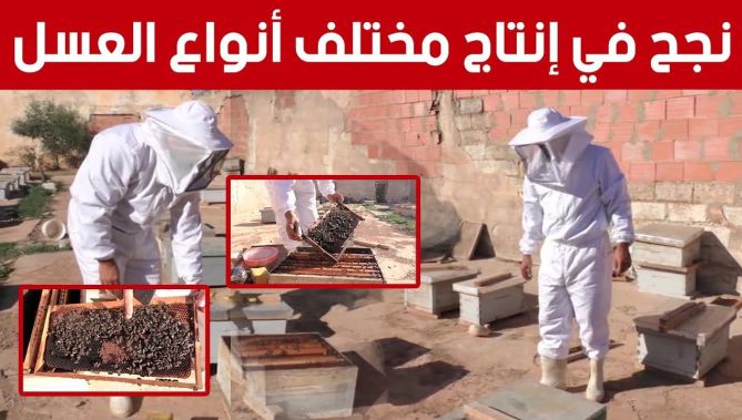 جمال من غليزان.. ينجح في إنتاج مختلف أنواع العسل بإمكانات بسيطة.. شاهد: