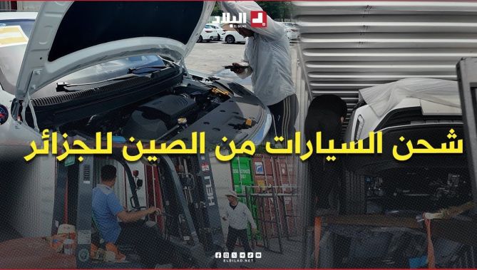 من #الصين إلى #الجزائر 😳.. هكذا تُشحن السيارات 🚗 وهذه أهم نصيحة قبل الشراء 😳