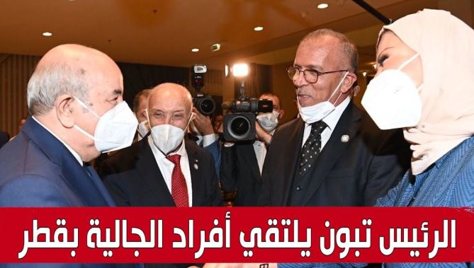 الرئيس تبون يتبادل أطراف الحديث مع أفراد الجالية الجزائرية بقطر.. شاهدوا: