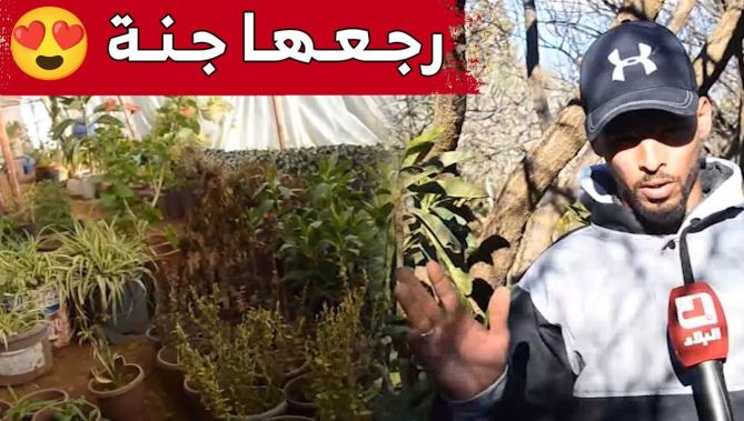 عبد الوهاب من تيارت.. شاب ينجح في تحويل أرض جرداء إلى جنة خضراء.. شاهد: