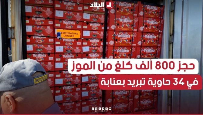 حجز 800 ألف كلغ من الموز في 34 حاوية تبريد بميناء عنابة