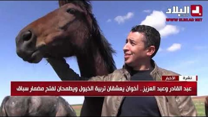 عبد القادر وعبد العزيز.. أخوان يعشقان تربية الخيول ويطمحان لفتح مضمار سباق .. شاهدوا