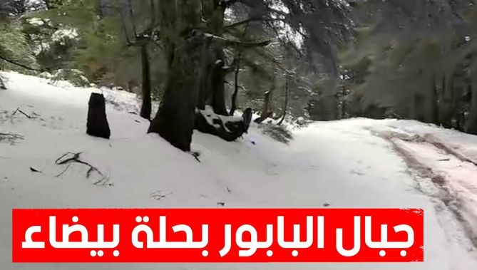 جبــــــال البابـــــــــور بـــــــولاية #سطـــــــيف تكــــــتسي حلــــــــة بيــــــــضاء 😍🌨