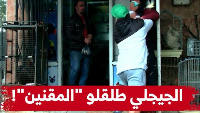 !الجيجلي راح يساوم العصافير.. لكن المفاجأة ماكانش يتوقعها بعدما طلق "المقنين" من القفص تاعو