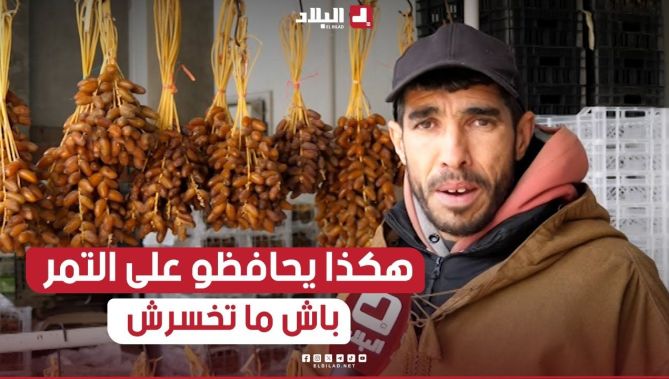شاهد كيف يتم تخزين التمور 🌴 في غرف التبريد للمحافظة على لونها وجودتها الأصليين