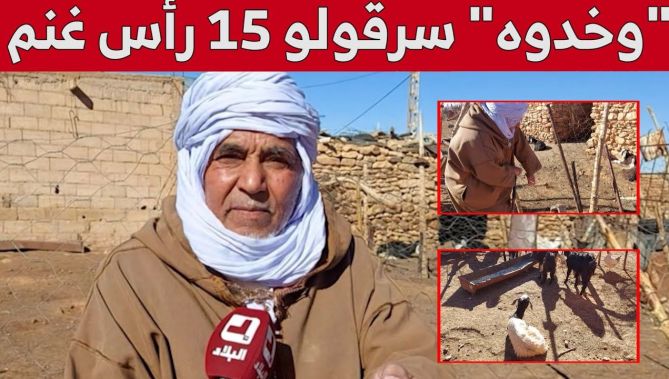 عصابة تسـ..ـطو على مربي مواشي وتسلبه 15 رأس غنم بالبيض.. شاهد