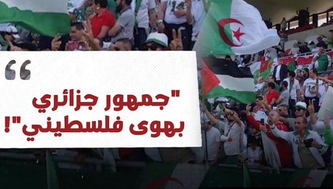 إعلامي "قطري" يحلل سلوك جمهور الجزائر ورسائل دعم فلسطين.. شاهدوا ما قاله: