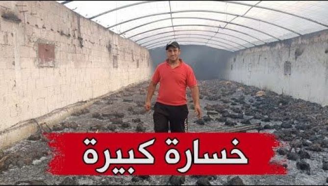 مربي دواجن يخسر ازيد من 6 آلاف دجاجة ومبالغ طائلة بسبب النيران في سوق أهراس