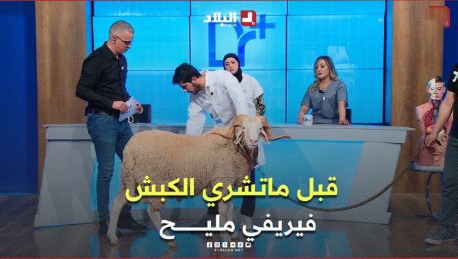 قبل ماتشري #كبش_العيد لازم تشوف وتتفحص هذو الصوالح فالأضحية تاعك.. طبيب بيطري يشرح بالتفصيل #شاهد