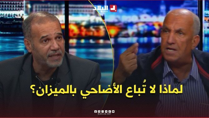 لماذا لا تُباع الأضاحي بالميزان؟ ولماذا لم تنخفض الأسعار رغم الأمطار التي عرفها الموسم؟