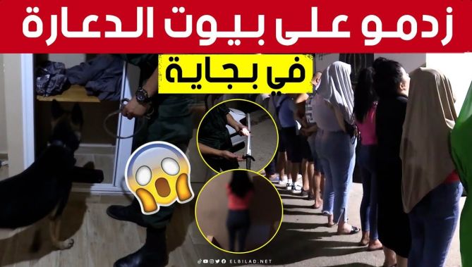 بجاية.. مداهمة لأوكار الدعـ. .ارة بـ #بوليماط 😱.. شاهد ما وجده رجال الدرك والشرطة بداخلها 😰 : البلاد