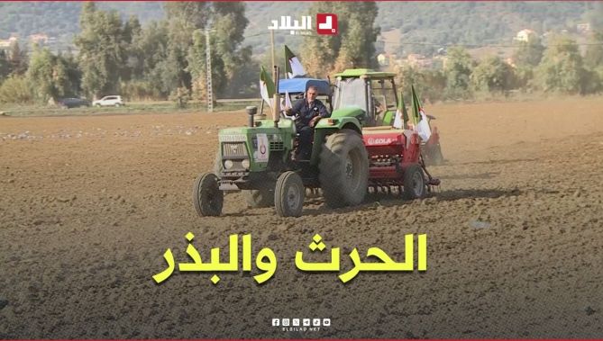 حملة الحرث والبذر في تيزي وزو.. مرافقة الفلاحين لضمان انطلاقة ناجحة