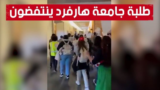 طلبة جامعة هارفرد ينتفضون تضامنا مع فلسطين