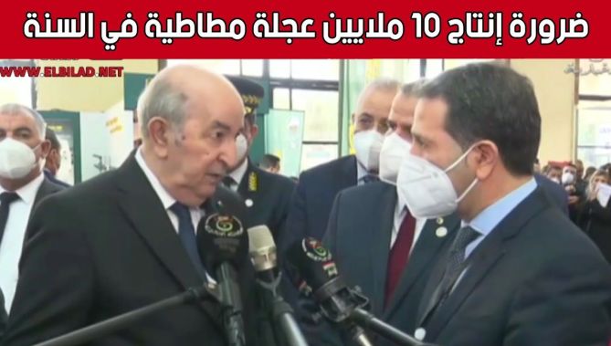 الرئيس تبون يؤكد على ضرورة رفع حجم نسبة إنتاج العجلات المطاطية للحد من الإستيراد