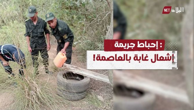 إحباط محاولة لحرق غابة "باينام" في العاصمة؟