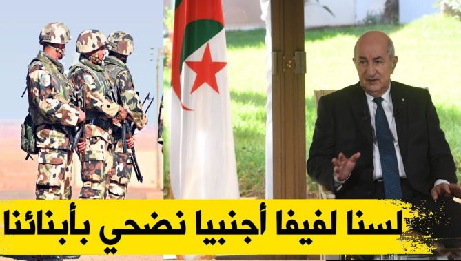 هل ستدخل الجزائر عسكريا في مالي ؟ شاهدوا رد رئيس الجمهورية