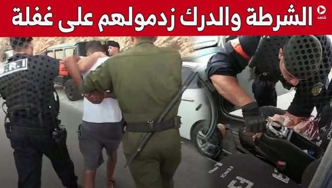 شاهد.. مداهـ..ـمات مشتركة واسعة النطاق بين الشرطة والدرك الوطني وتوقيفات بالجملة في تيبازة 😮