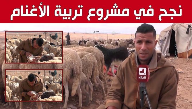 "ميلود" من الجلفة.. شاب لا يزال محافظا على مهنة تربية الأغنام.. شاهد: