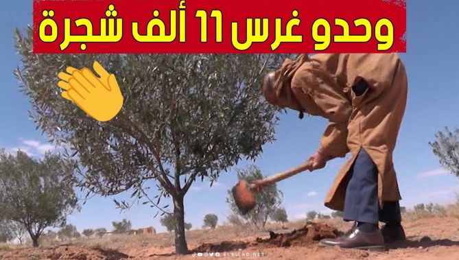 شاهد كيف تمكّن فلاح من الجلفة من غرس أكثر من 11 ألف شجرة رغم الصعوبات والأرض القاحلة