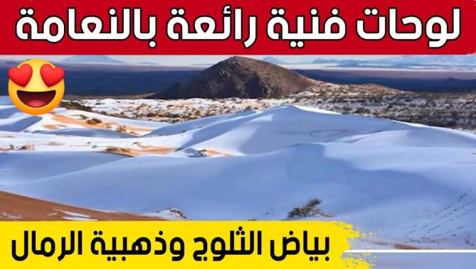 لوحات فنية بالنعامة تجمع بين بياض الثلوج وذهبية الرمال الصحراوية 🥰😍