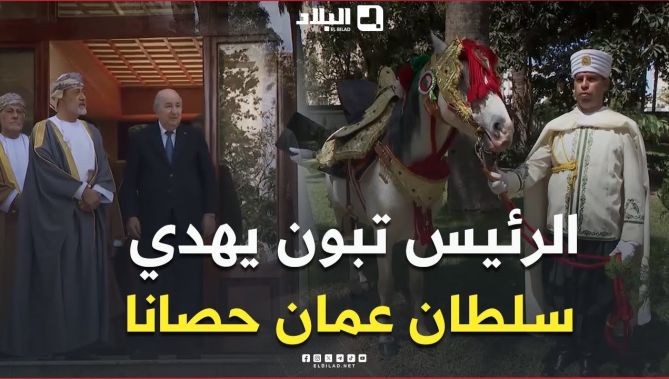 📍رئيس الجمهورية #عبد_المجيد_تبون يهدي ضيف الجزائر السلطان هيثم بن طارق، حصانا بربريا أصيلا.. #شاهد