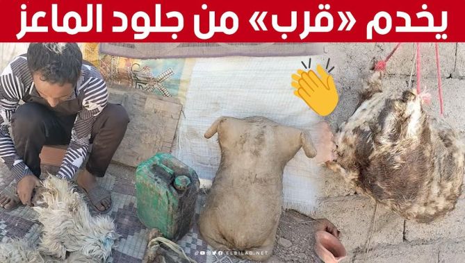 كريم من #خنشلة.. شاب مبدع 👏 يحول جلود الماعز إلى "قرب" تقليدية لتبريد الماء 🥰 : البلاد