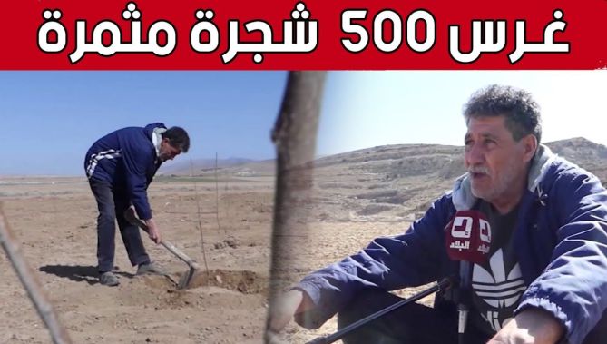 الطاهر.. فلاح من أم البواقي ينجح في غرس 500 شجرة مثمرة بعين الزيتون.. شاهد: