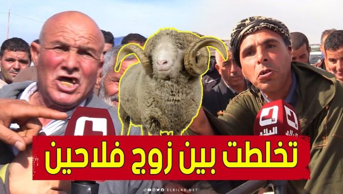 "تخلطت بيناتهم..شاهد النقاش الساخن بين فلّاحَين حول سبب ارتفاع سعر الأضاحي قُبيل عيد الأضحى