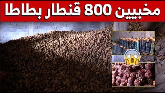 الدرك الوطني يحجز 800 قنطار بطاطا مخبأة داخل مخزن بولاية ميلة..شاهدوا