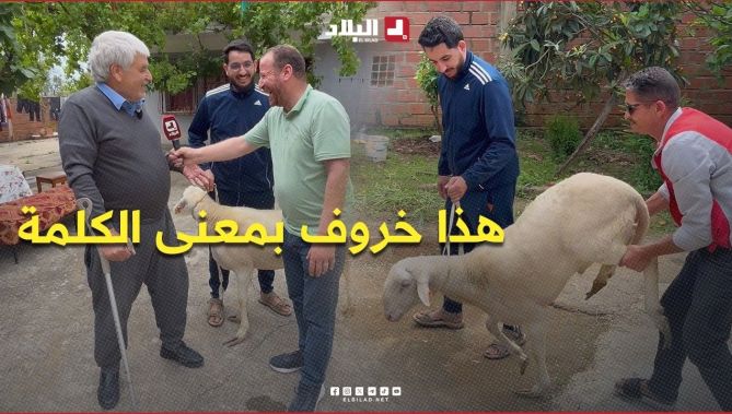 هذا #خروف بمعنى #الكلمة".. #شاهد فرحة كبيرة لهذا الشيخ بعدما شرا #أضحية_العيد من منصة "#أضاحي"