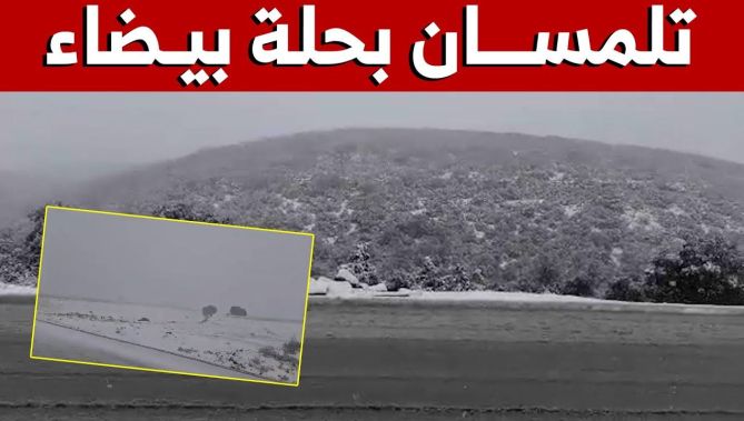 شاهد.. الثلوج تواصل التساقط على أعالي ولاية تلمسان
