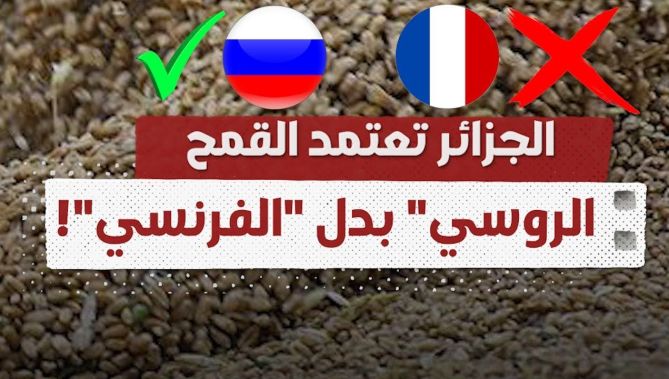 الجزائر تعتمد رسميا القمح الروسي بدل الفرنسي