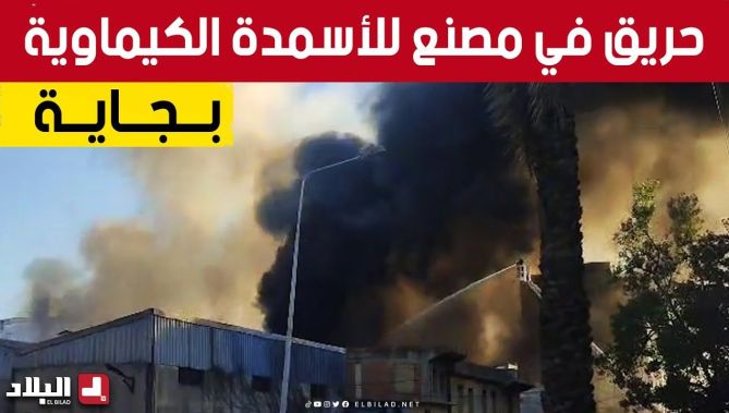 شاهدوا.. #حــريــق مهول في مصنع للأسمدة الكيماوية بولاية #بـــجـــاية