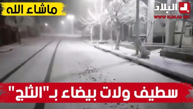 شاهدوا.. التساقط الكثيف للثلوج بأعالي ووسط مدينة سطيف