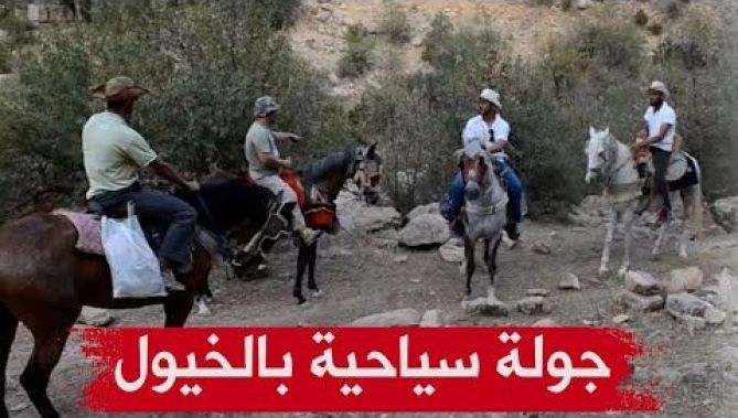 على طريقة أفلام "الواسترن" شباب يجوبون جبال الأوراس بواسطة الخيول