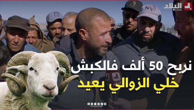 موّال من سوق المواشي بسطيف يثني على تراجع أسعار الخرفان متمنّياً أن يتمكن كل الجزائريين من الشراء 🐑🥰