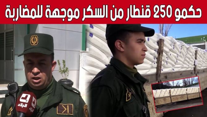 حجز 250 قنطارا من السكر الأبيض موجهة للمضاربة غير المشروعة بـ #سطيف.. شاهد: