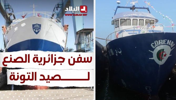 إنجاز سفن ذات الحجم الكبير لصيد التونة بكفاءات جزائرية.. شاهد:
