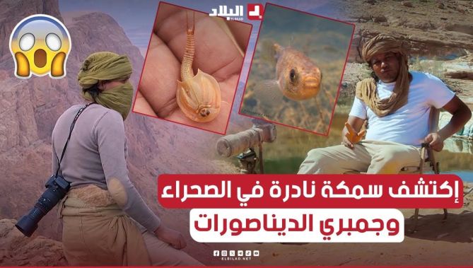 المستكشف رضوان طاهري يعثر على سمكة كانت تُعتبر منقرضة في صحراء الجزائر ويكتشف "جمبري الديناصورات"