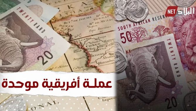 جنوب إفريقيا تدعو لاستحداث #عملة_إفريقية_موحدة.. شاهد:
