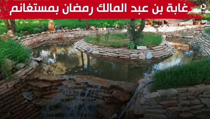 مستغانم: غابة "بن عبد المالك رمضان" تستقطب العائلات من مختلف ولايات الوطن.. شاهدوا