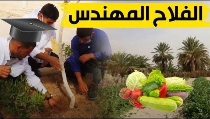 شاب من ولاية الوادي اختار أن يسخّر علمه للفلاحة.. شاهدوا