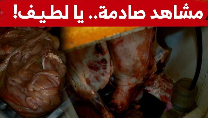 مشاهد صــ..ادمة.. شاهدوا ماذا وجدت الشرطة في محل أحد الجزارين بالمدية