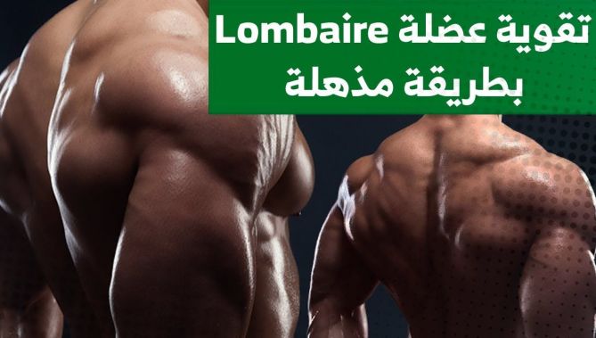 أسرع وأحسن طريقة لتقوية عضلة "لومبار" أسفل الظهر بأسلوب سهل ومحترف