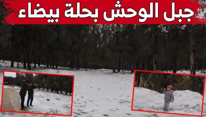 غابة "جبل الوحش" وجهة العائلات بقسنطينة بعد اكتسائها الحلة البيضاء ⛄️❄️