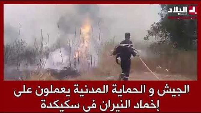 الجيش و الحماية المدنية يعملون على إخماد الحرائق في منطقة الطمر ببلدية الحدائق في سكيكدة