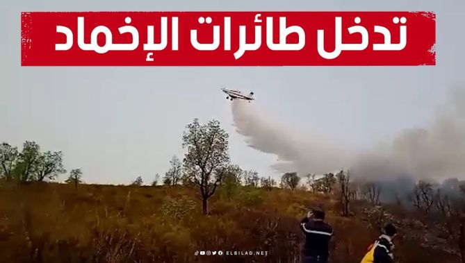 شاهد تدخلات طائرة إخماد الحــ .رائق🔥 في غابات بجاية